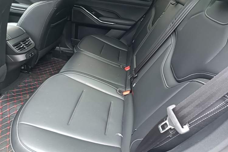 Used Haval H6 2021 3rd Generation 2.0T Automatic Two-Wheel Drive Max Left Rear Seat