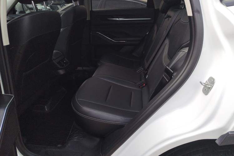 Used Haval H6 2021 3rd Generation 1.5T Automatic Two-Wheel Drive Supreme+ Left Rear Seat