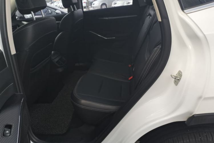 Used Haval H6 2021 3rd Generation 2.0T Automatic Two-Wheel Drive Max Left Rear Seat
