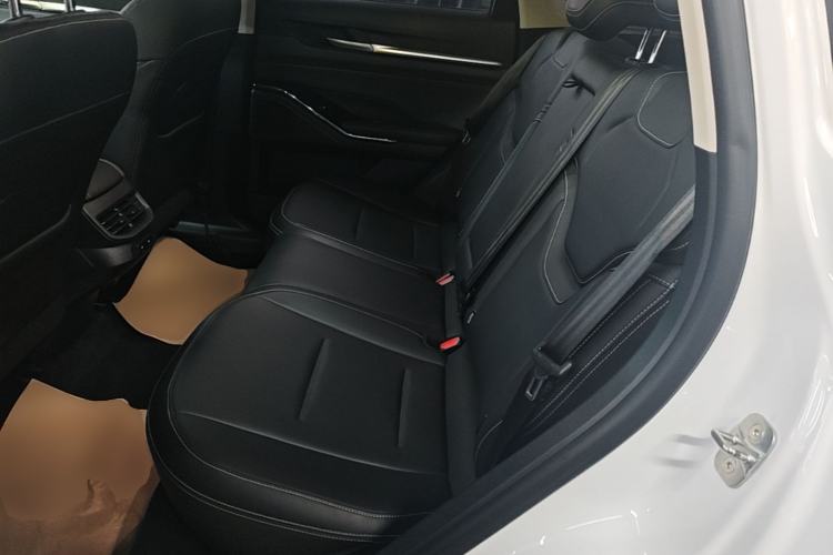 Used Haval H6 2021 3rd Generation 1.5T Automatic Two-Wheel-Drive Supreme Left Rear Seat