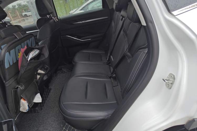 Used Haval H6 2021 3rd Generation 2.0T Automatic Two-Wheel Drive Max Left Rear Seat