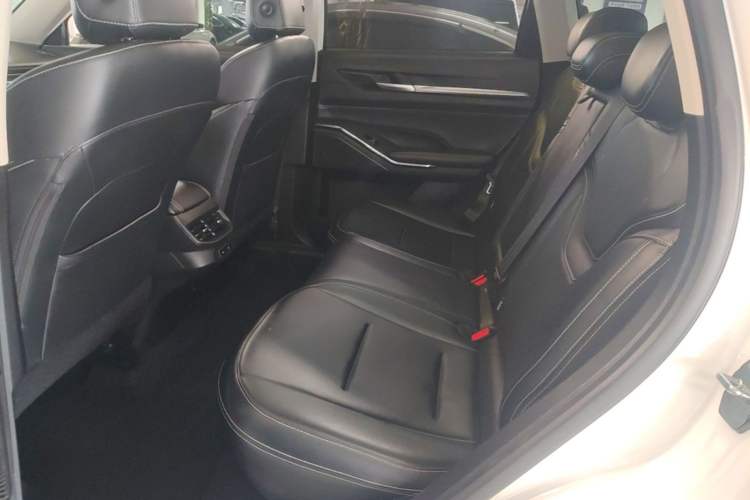 Used Haval H6 2021 3rd Generation 2.0T Automatic Two-Wheel Drive Max Left Rear Seat