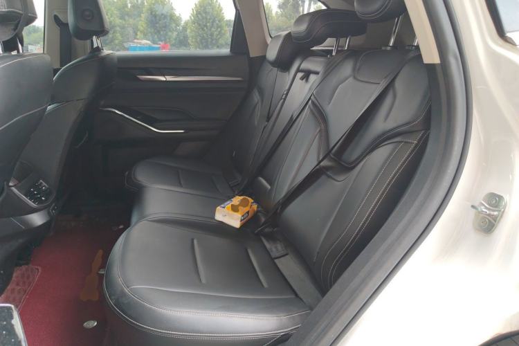 Used Haval H6 2021 3rd Generation 1.5T Automatic Two-Wheel Drive Max Left Rear Seat