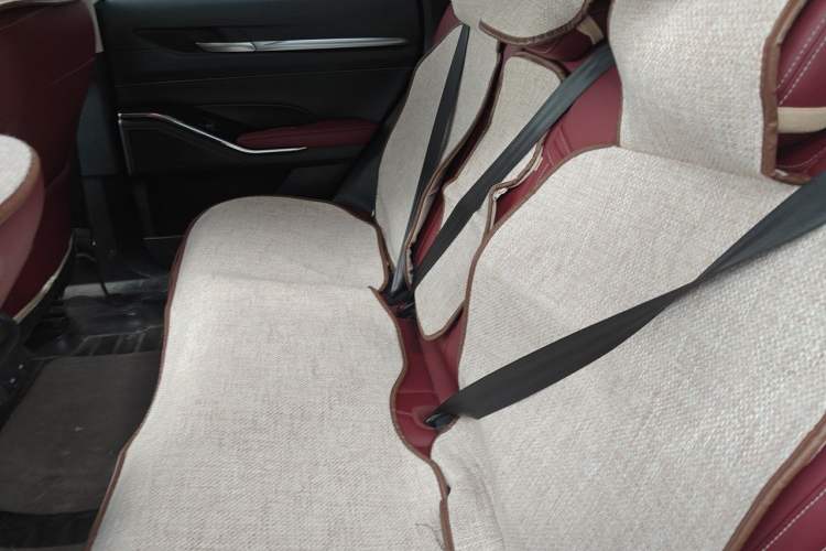 Used Haval H6 2021 3rd Generation 2.0T Automatic Two-Wheel Drive Max Left Rear Seat