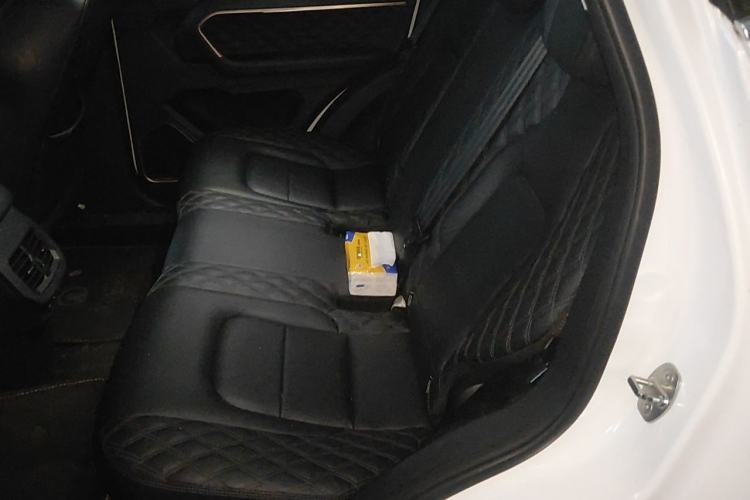 Used Haval H6 2021 1.5T Automatic Urban Edition Left Rear Seat