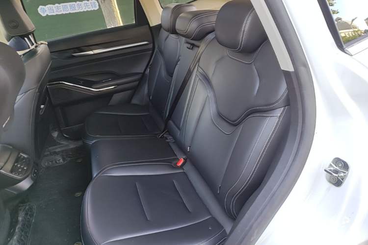 Used Haval H6 2021 3rd Generation 2.0T Automatic Two-Wheel Drive Max Left Rear Seat