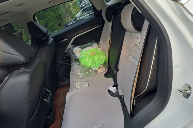 Used Haval H6 2021 National Trend Edition 1.5T Automatic Urban Version Left Rear Seat