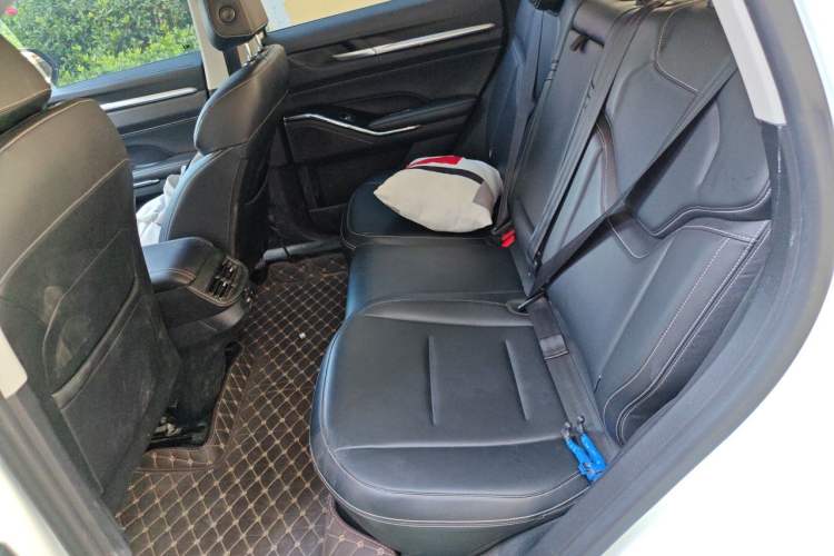 Used Haval H6 2021 3rd Generation 2.0T Automatic Two-Wheel Drive Max Left Rear Seat