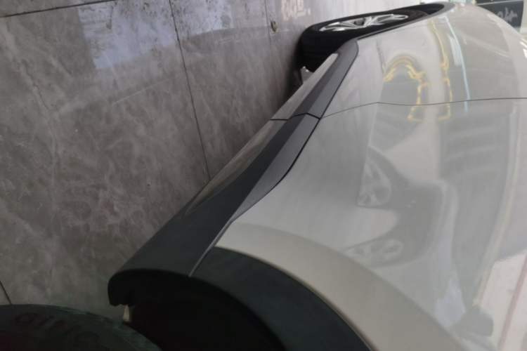 Used Haval H6 2021 National Trend Edition 1.5T Automatic Champion Version Left Side Sill