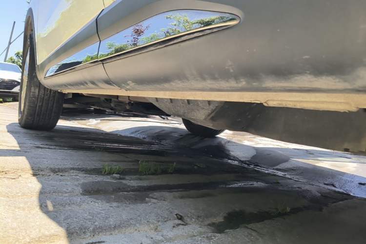 Used Haval H6 2021 National Trend Edition 1.5T Automatic Champion Version Left Side Sill