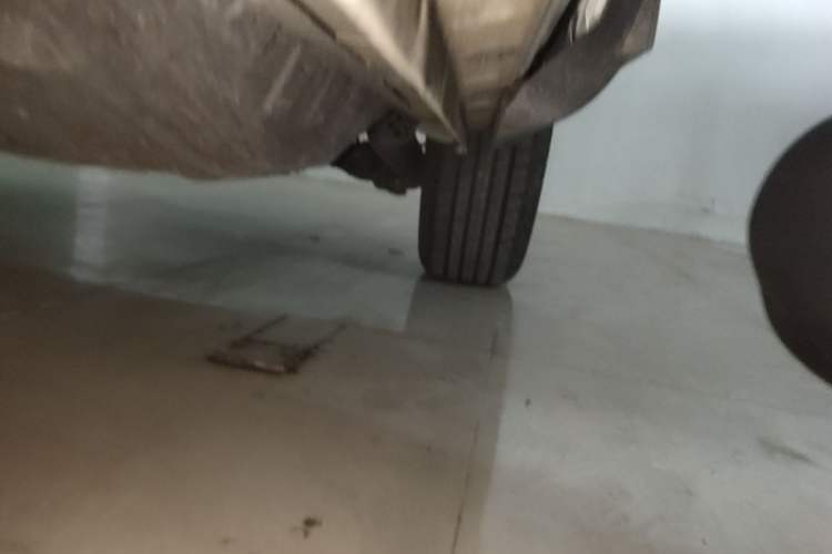 Used Haval H6 2021 National Trend Edition 1.5T Automatic Champion Version Left Side Sill