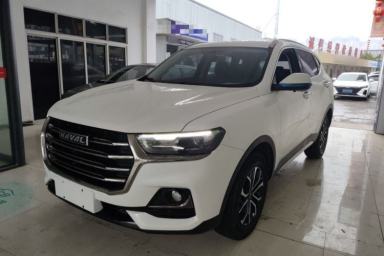 Used Haval H6 2021 National Trend Edition 1.5T Automatic Urban Version