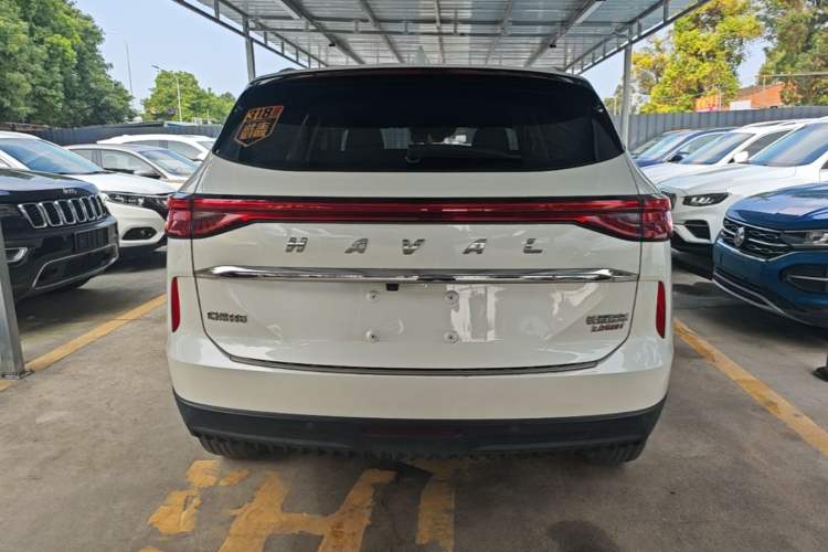 Used Haval H6 2021 3rd Generation 2.0T Automatic Two-Wheel Drive Max Rear