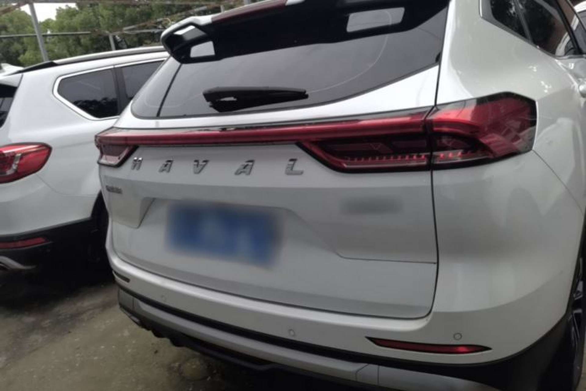 Used Haval H6 2021 National Trend Edition 1.5T Automatic Urban Version Rear