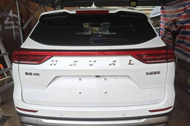 Used Haval H6 2021 National Trend Edition 1.5T Automatic Urban Version Rear