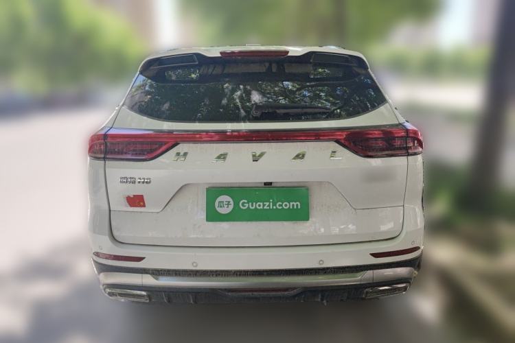 Used Haval H6 2021 National Trend Edition 1.5T Automatic Champion Version Rear