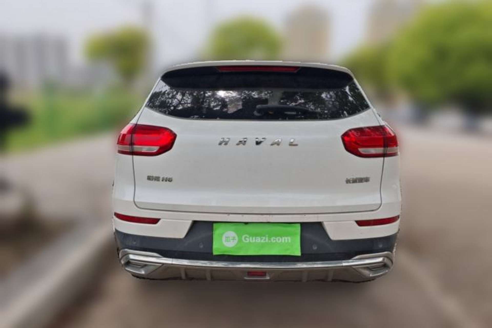 Used Haval H6 2021 1.5T Automatic Champion Edition Rear