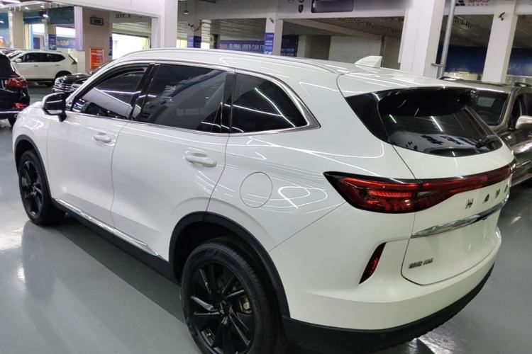 Used Haval H6 2021 3rd Generation 2.0T Automatic Two-Wheel Drive Max Rear Left 45 Deg