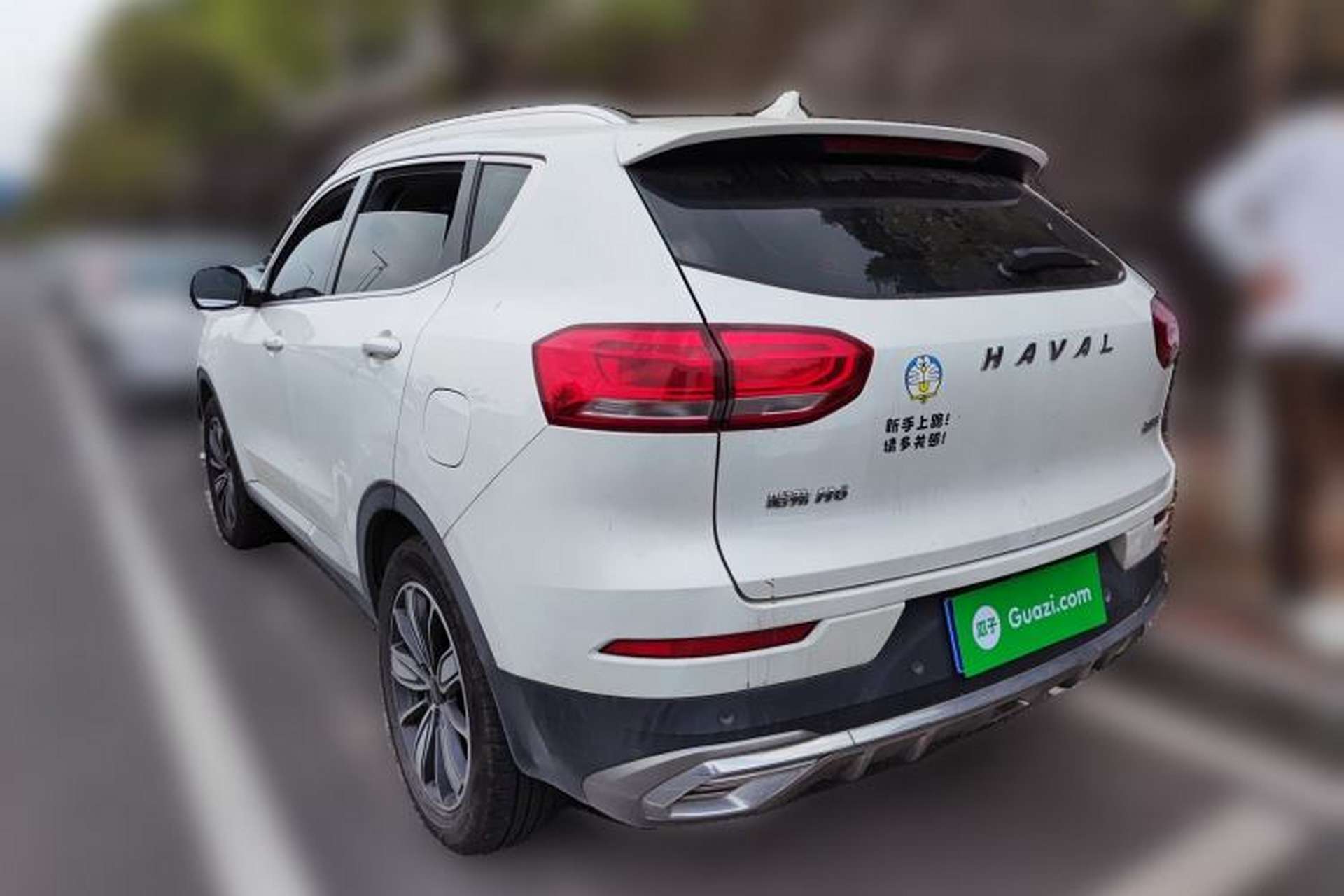 Used Haval H6 2021 1.5 GDIT Automatic Champion Edition Rear Left 45 Deg