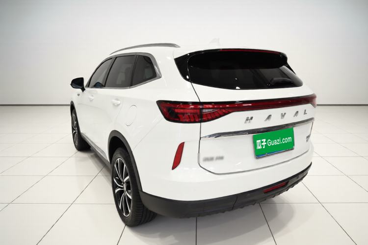 Used Haval H6 2021 3rd Generation 2.0T Automatic Two-Wheel Drive Max Rear Left 45 Deg