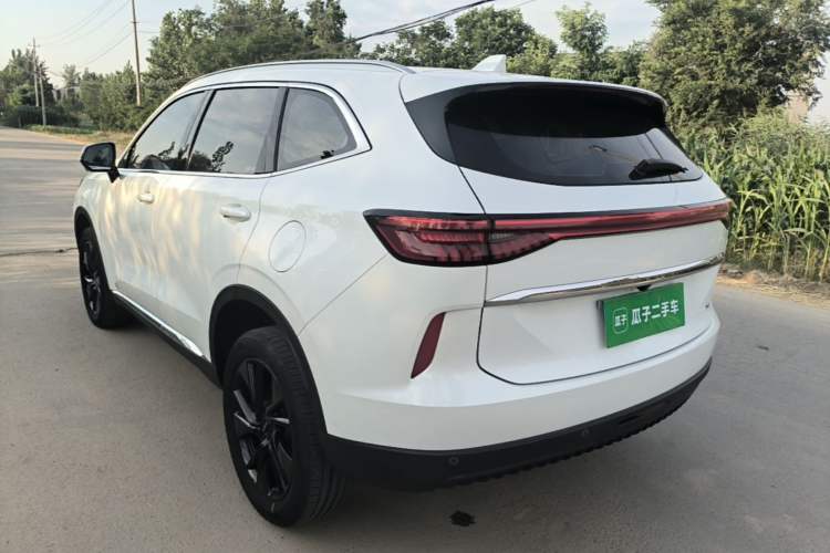 Used Haval H6 2021 3rd Generation 2.0T Automatic Two-Wheel Drive Max Rear Left 45 Deg
