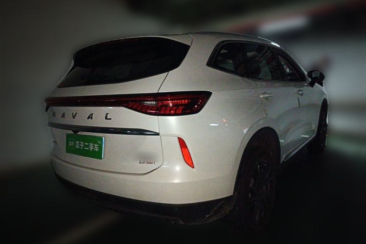 Used Haval H6 2021 3rd Generation 2.0T Automatic All-Wheel Drive Max Rear Right 45 Deg