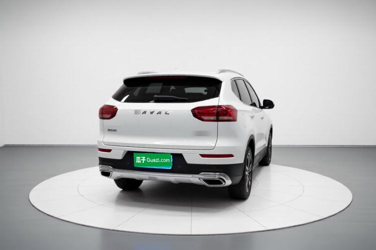 Used Haval H6 2021 1.5T Automatic Urban Edition Rear