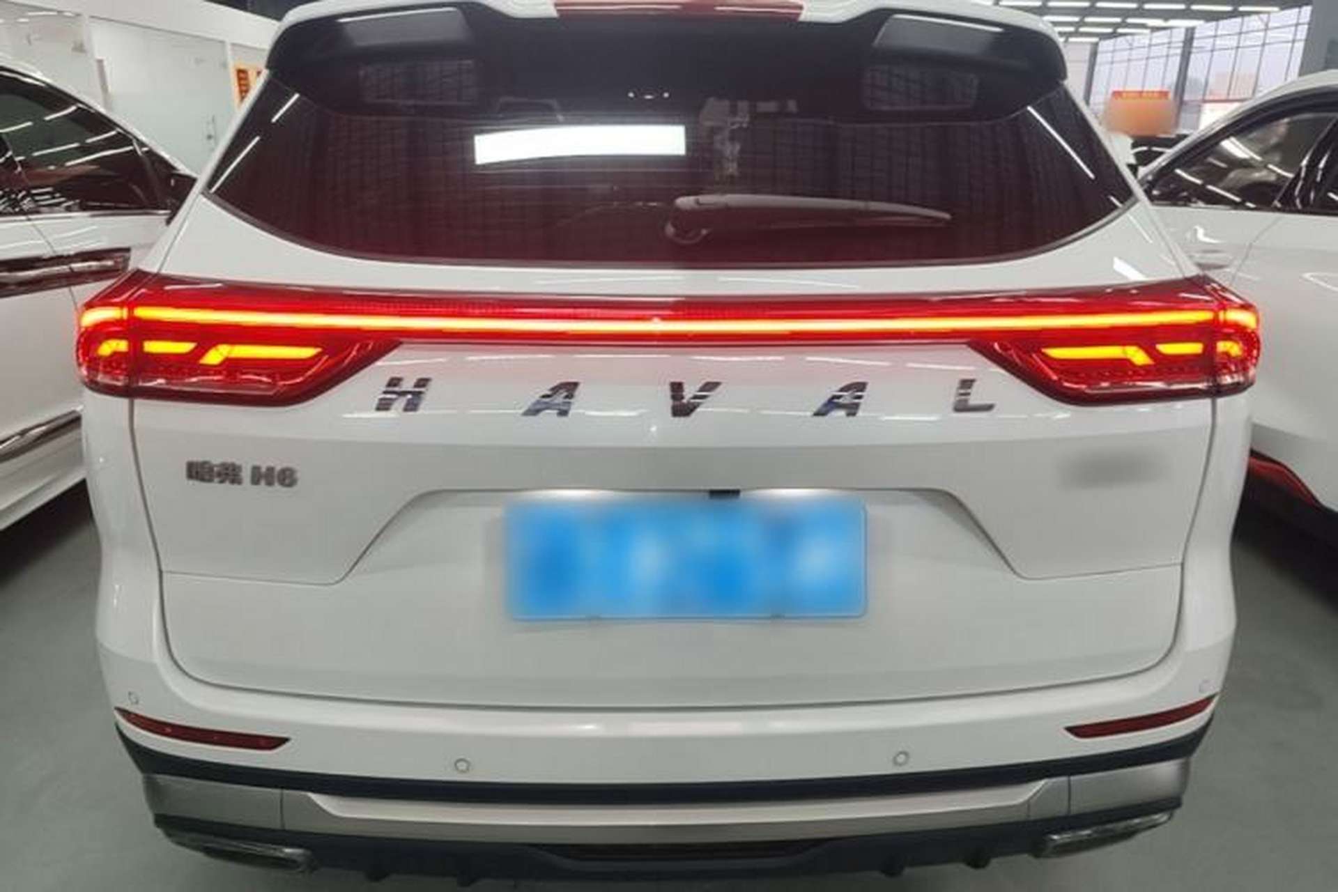 Used Haval H6 2021 China Trend Edition 1.5 GDIT Automatic Champion Version Rear