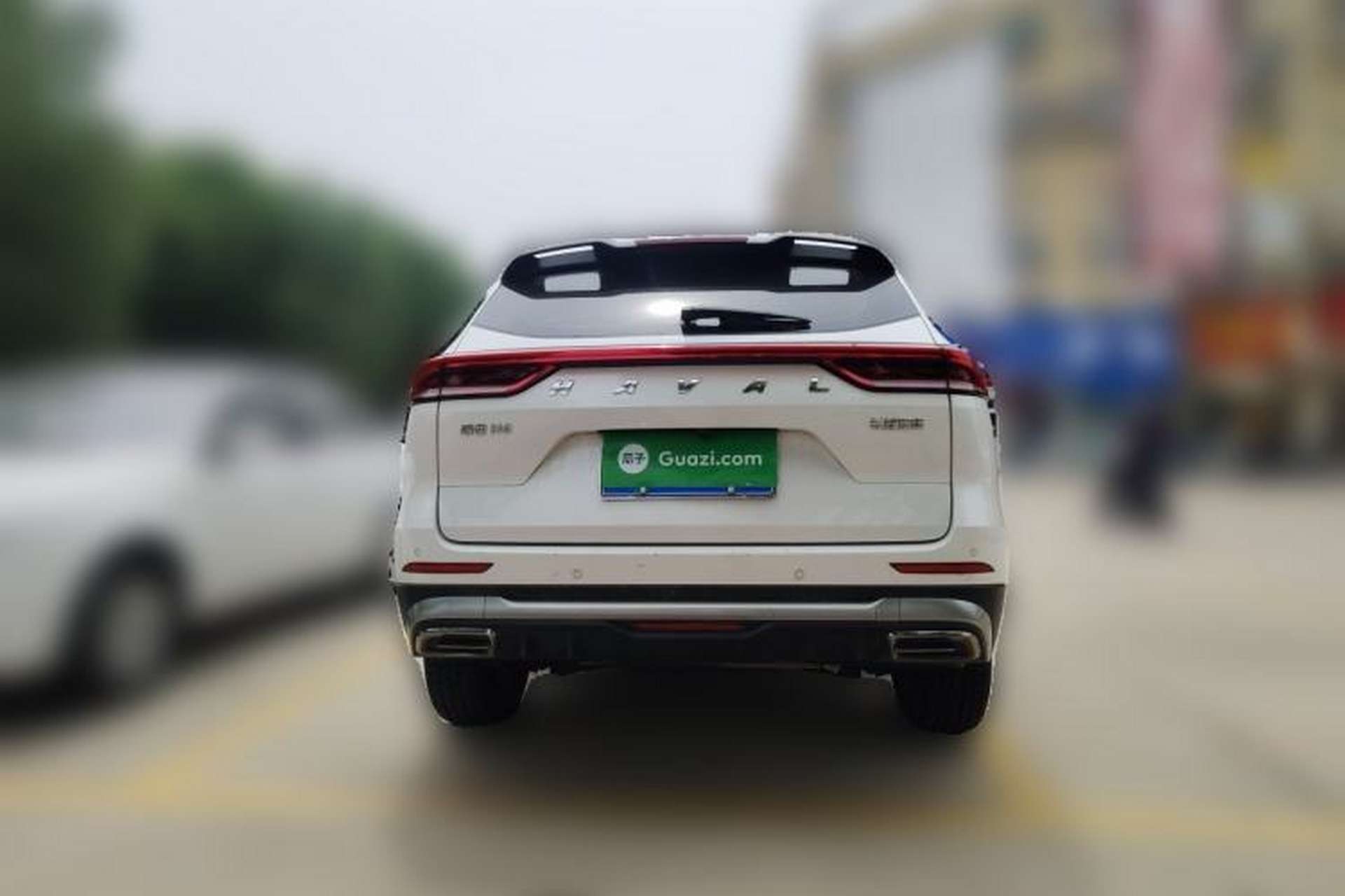 Used Haval H6 2021 National Trend Edition 1.5T Automatic Champion Version Rear