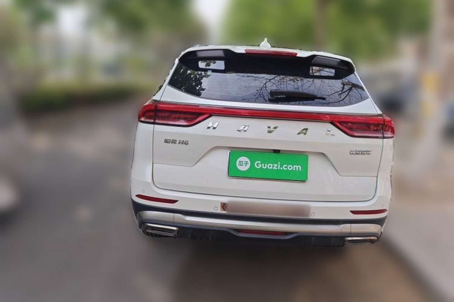 Used Haval H6 2021 National Trend Edition 1.5T Automatic Champion Version Rear