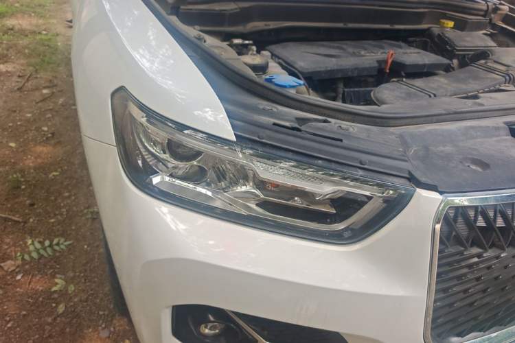 Used Haval H6 2021 1.5 GDIT Automatic Champion Edition Right Front Headlight