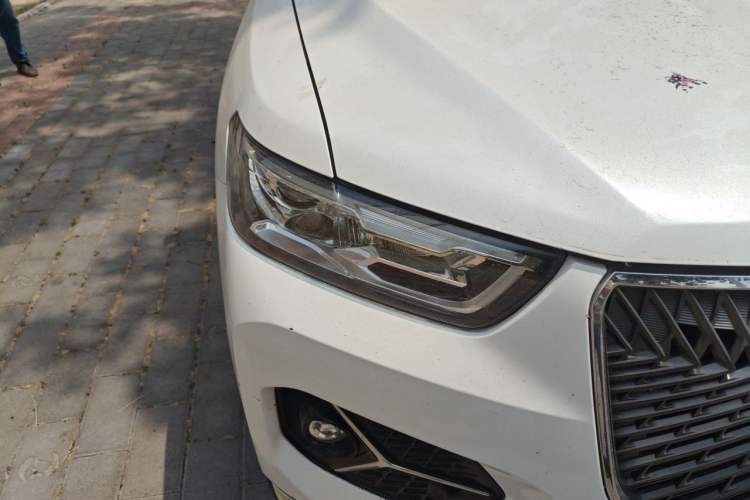 Used Haval H6 2021 1.5 GDIT Automatic Champion Edition Right Front Headlight