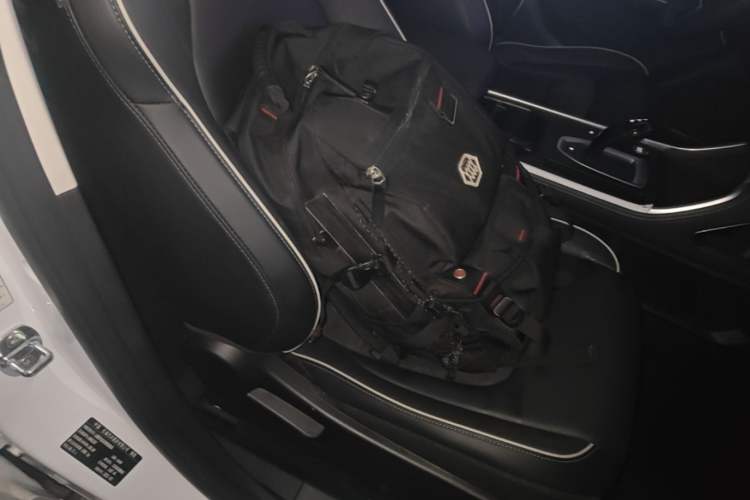Used Haval H6 2021 National Trend Edition 1.5T Automatic Champion Version Right Front Seat