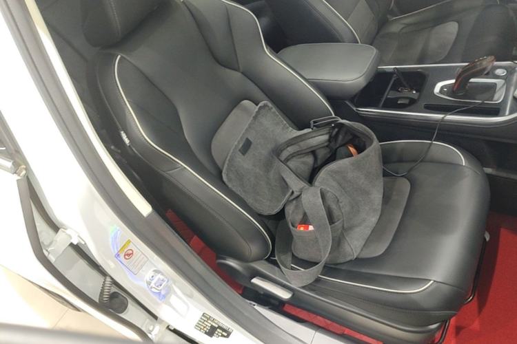 Used Haval H6 2021 National Trend Edition 1.5T Automatic Champion Version Right Front Seat