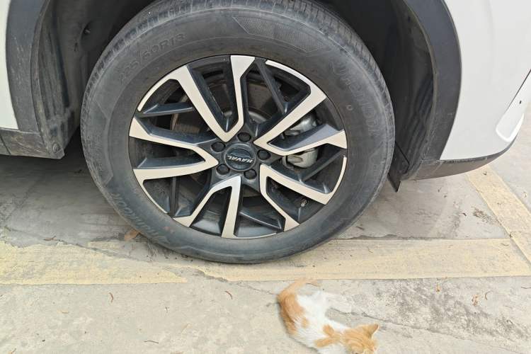 Used Haval H6 2021 3rd Generation 1.5T Automatic Two-Wheel Drive Pro Right Front Wheel Hub