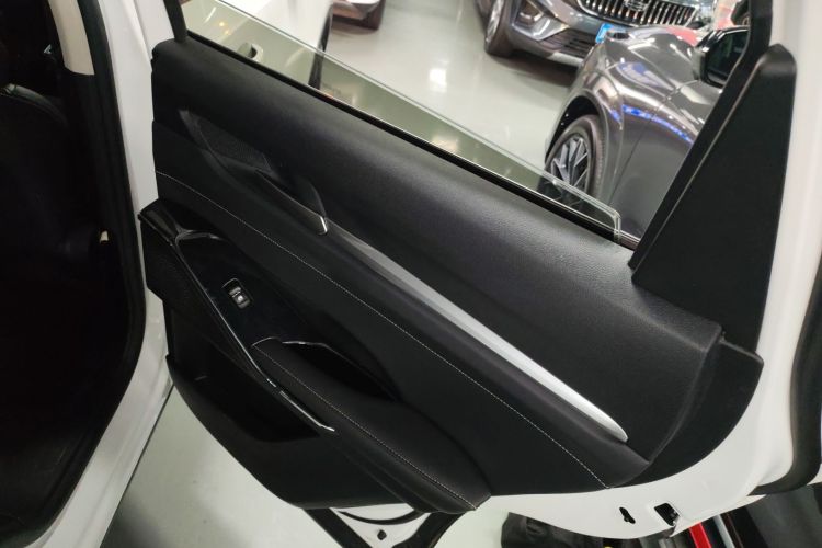 Used Haval H6 2021 3rd Generation 2.0T Automatic Two-Wheel Drive Max Right Rear Door Interior
