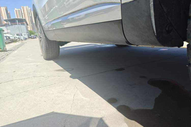 Used Haval H6 2021 1.5 GDIT Automatic Champion Edition Right Side Sill
