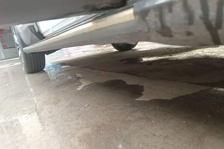 Used Haval H6 2021 1.5T Automatic Champion Edition Right Side Sill