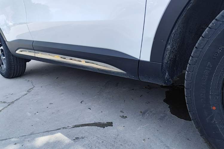 Used Haval H6 2021 National Trend Edition 1.5T Automatic Urban Version Right Side Sill