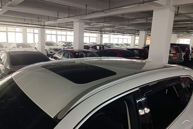 Used Haval H6 2021 National Trend Edition 1.5T Automatic Urban Version Roof