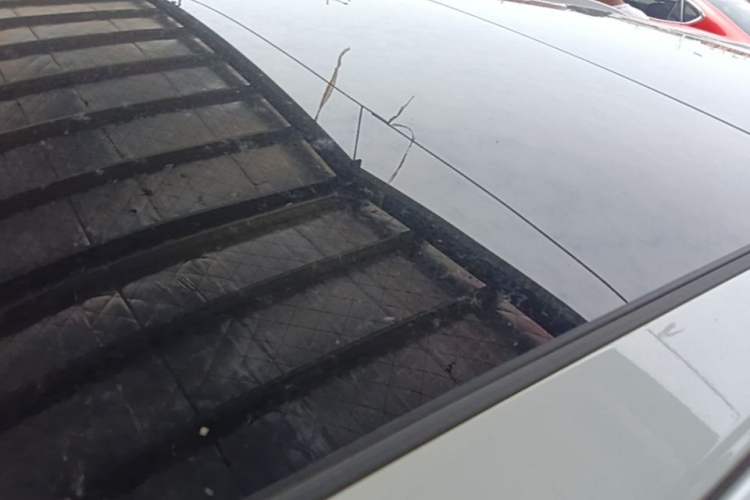 Used Haval H6 2021 China Trend Edition 1.5 GDIT Automatic Champion Version Roof