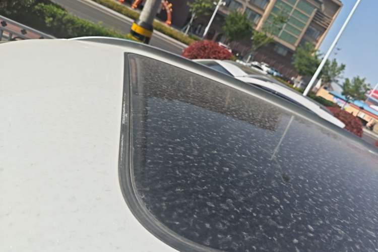 Used Haval H6 2021 1.5T Automatic Urban Edition Roof