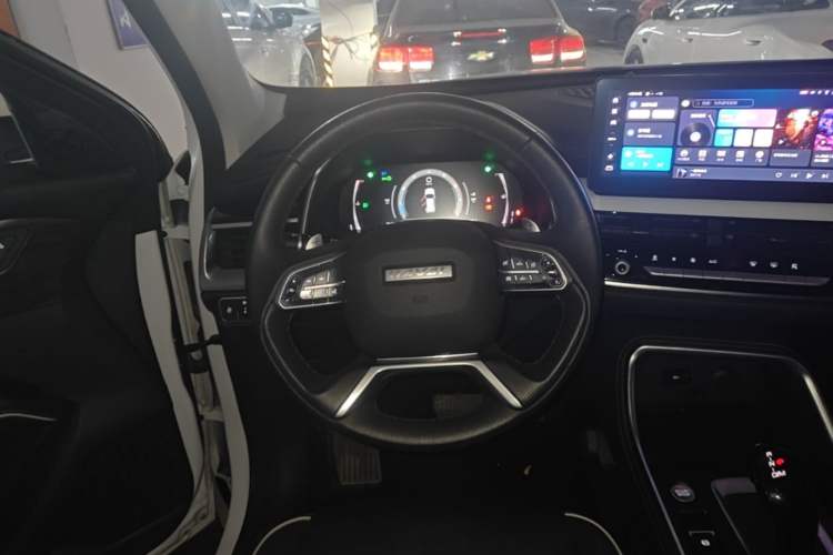Used Haval H6 2021 National Trend Edition 1.5T Automatic Champion Version Steering Wheel