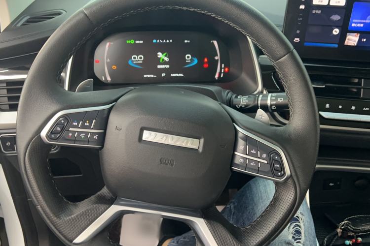 Used Haval H6 2021 China Trend Edition 1.5 GDIT Automatic Champion Version Steering Wheel