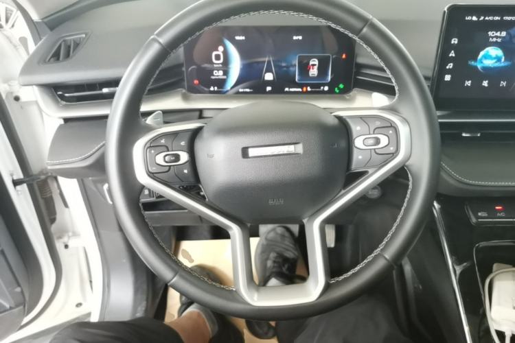 Used Haval H6 2021 3rd Generation 2.0T Automatic Two-Wheel Drive Max Steering Wheel