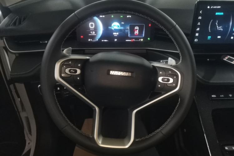 Used Haval H6 2021 3rd Generation 2.0T Automatic Two-Wheel Drive Max Steering Wheel