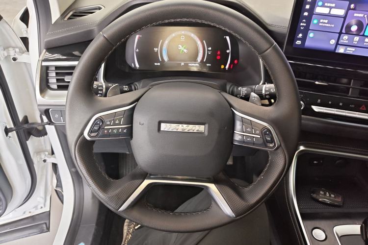 Used Haval H6 2021 National Trend Edition 1.5T Automatic Champion Version Steering Wheel