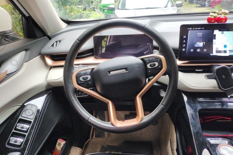 Used Haval H6 2021 3rd Generation 2.0T Automatic Two-Wheel Drive Max Steering Wheel