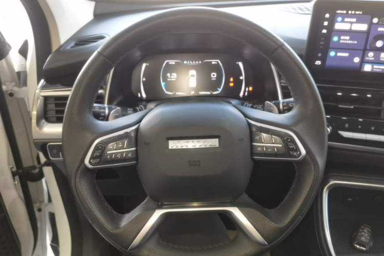 Used Haval H6 2021 National Trend Edition 1.5T Automatic Champion Version Steering Wheel