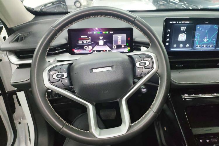 Used Haval H6 2021 3rd Generation 2.0T Automatic Two-Wheel Drive Max Steering Wheel